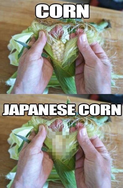 Corn Pictures And Jokes Funny Pictures And Best Jokes