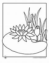 Lily Coloring Water Flower Pad Pages Frog Print Lilies Clipart Drawing Kids Cartoon Flowers Clip Pads Color Draw Library Getdrawings sketch template