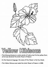 Puerto Rico Coloring Pages Flower Hawaiian Hibiscus Maga Flor State Drawing Worksheets Printable Kidzone Rican Drawings Kids Print Flowers Yellow sketch template