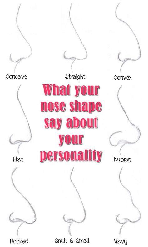 broad categories   divide nose shapes   main categories
