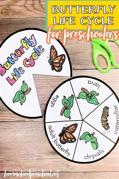 printable butterfly life cycle wheel