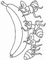 Coloring Kids Ant Ants Pages Printables Marching Children Hill Drawing Colouring Color Cliparts Picnic Central Collection School Pre Working Insect sketch template