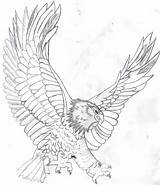 Eagle Coloring Bald Pages Kids Drawing Color Realistic Soaring Printable Template Flying Mandala Head Eagles Line Harpy Colouring Adult Print sketch template