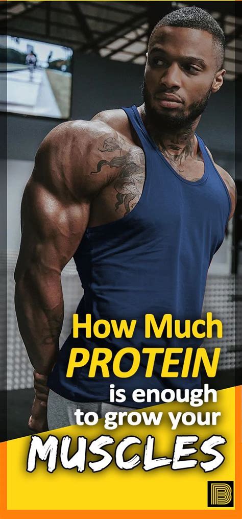 How Much Protein Do You Need A Day For Muscle Growth
