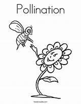 Coloring Pollination Crocus Getcolorings Pages Designlooter Color 35kb sketch template