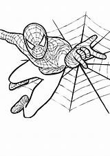 Spiderman Coloring Cartoon Pages Getcolorings Color Printable Print sketch template