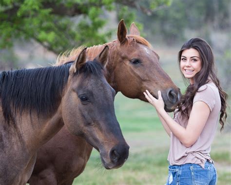 communiceren als een paard coaching psychologische ondersteuning en loopbaanbegeleiding met