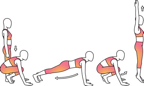 Exercise Clipart Push Up Burpee Png Download Full Size Clipart