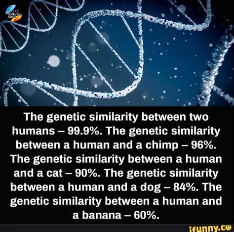the genetic similarity between two humans 99 9 the genetic similarity