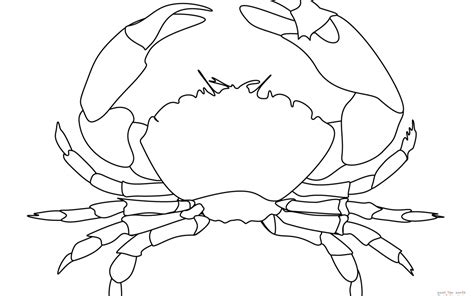 crab outline drawing  getdrawings