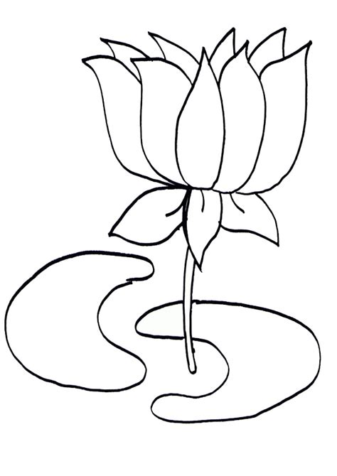 lotus flower colouring sheet  flower site