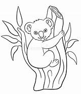 Koala Sits Fresco Ramo sketch template