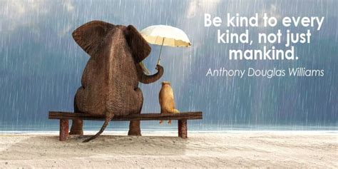 quotes  kindness  animals