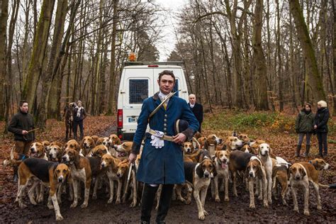 Dans La Forêt De Compiègne Sur La Piste Des Cerfs Et Des Chasseurs