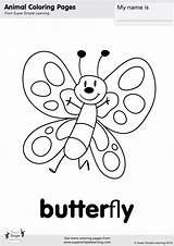 Butterflies Supersimple sketch template
