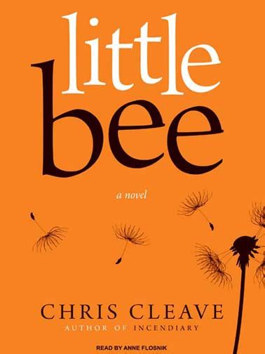 notes for novel readers chris cleave takes the
