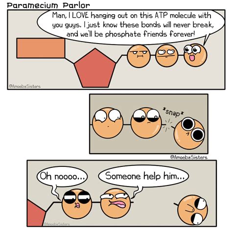 biology atp phosphate science scicomm sciart comic cartoon atp biology biology jokes
