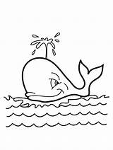 Whale Baby Pages Coloring Template sketch template