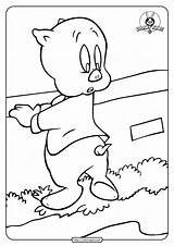 Porky Tunes Looney Pig Coloring sketch template