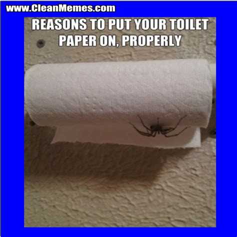 toilet paper  properly clean memes