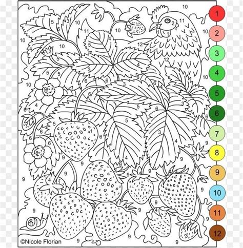 advanced color  number   coloring page  printable