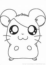 Hamster Coloring Animals Pages Printable Drawing sketch template