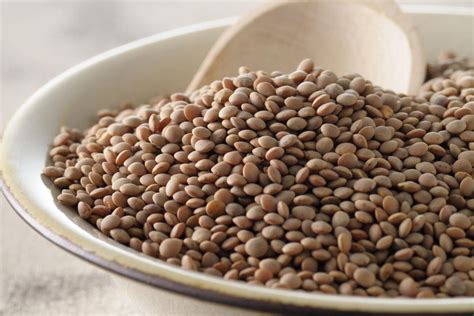 lentils varieties nutrition