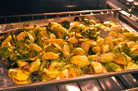 classy dish baked brussel sprouts