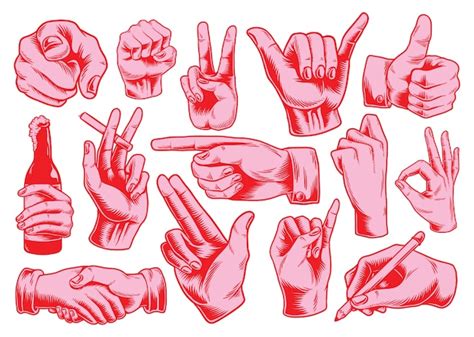 collection  illustrated hand signs premium vector