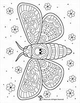 Moth Skulls Coloringbay Intricate sketch template