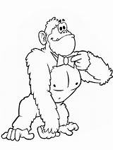 Gorilla Coloring Pages Animals Cute Index Monkeys Print Popular Coloringhome Kids sketch template