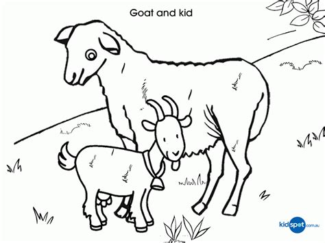 goat coloring home