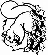Eekhoorn Kleurplaten Kleurplaat Squirrel Coloriages Bajing Mewarnai Animasi Ecureuil Bergerak Animaatjes Scoiattoli Stemmen Kleuren Kleurplatenwereld Picgifs Animate sketch template