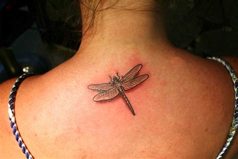 Dragonfly Tattoo Designs For Women Dragonfly Tattoo Designs Tattoos