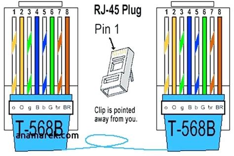 cat wiring diagram