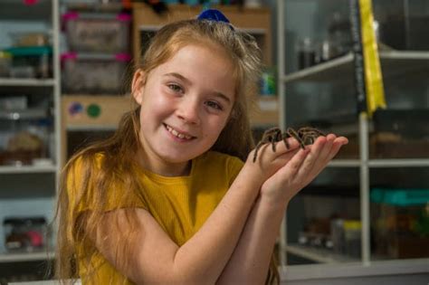 eight year old shares her bedroom with more than 50 spiders
