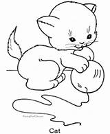 Coloring Pages Cat Cats Printable Animal Kids sketch template