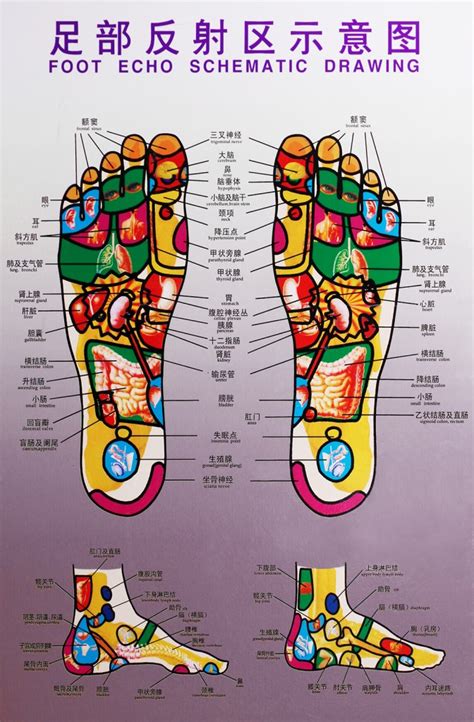 reflexology luv yu foot spa