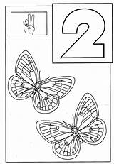 Coloring Pages Sheets Printable Butterflies Animal Number Butterfly Coloring4free 2021 Numbers Toddler Coloringbay sketch template