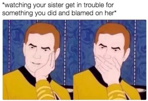 30 Funny Sister Memes For Classic Sibling Amusements – Sheideas