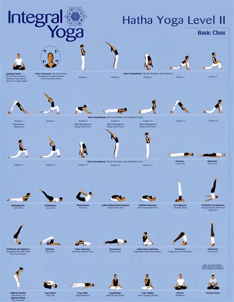 hathalevelbasicclass bluejpg  esercizi  yoga