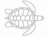 Tortugas Tartaruga Preschool Aboriginal Gratistodo sketch template