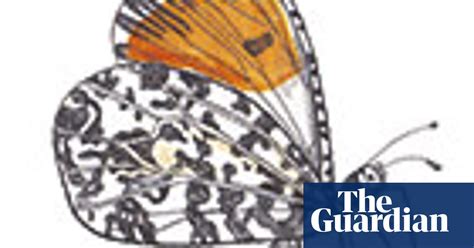 A Spotter S Guide To Butterflies Travel The Guardian