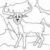 Venados Pudu Deers Kleurplaten Tekeningen Hert Alces Herten sketch template