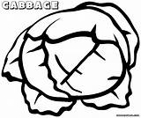 Cabbage Coloring Pages Food Coloringway sketch template