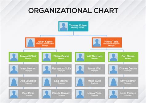 organizational chart template template  psd shop fresh