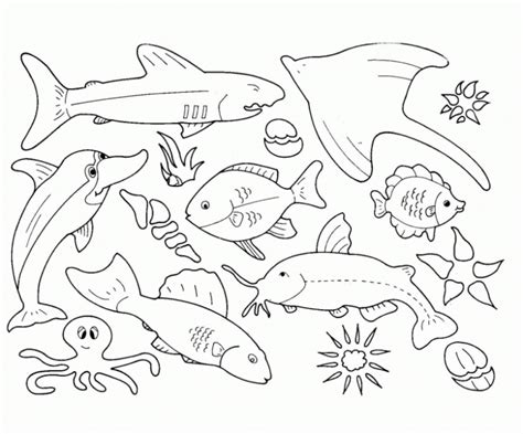 ocean animals coloring pages  preschool  getdrawings