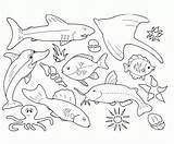 Coloring Ocean Pages Animals Animal Preschool Getdrawings sketch template