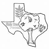 Coloring Texas Pages State Printable California Flag Colorado Sheet Print History Getcolorings Color Getdrawings Drawing sketch template
