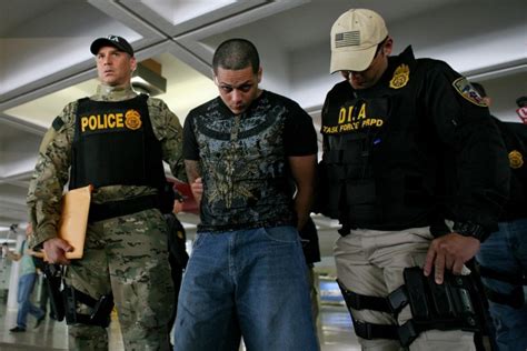 36 Arrested In Puerto Rico Airport Drug Running Ring